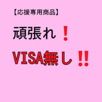 【応援専用③】頑張れ！ VISA無し！！（活動支援）