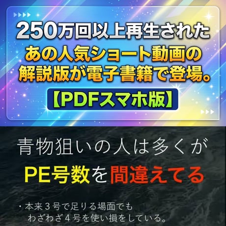 【有料版】ショート動画解説＆補足書籍①（電子書籍・PDF）