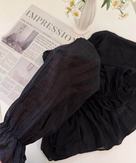 【再入荷】sheer fairy blouse /black