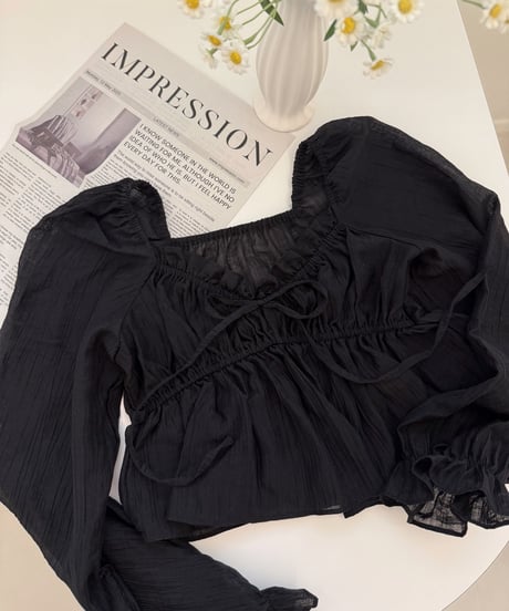 【再入荷】sheer fairy blouse /black