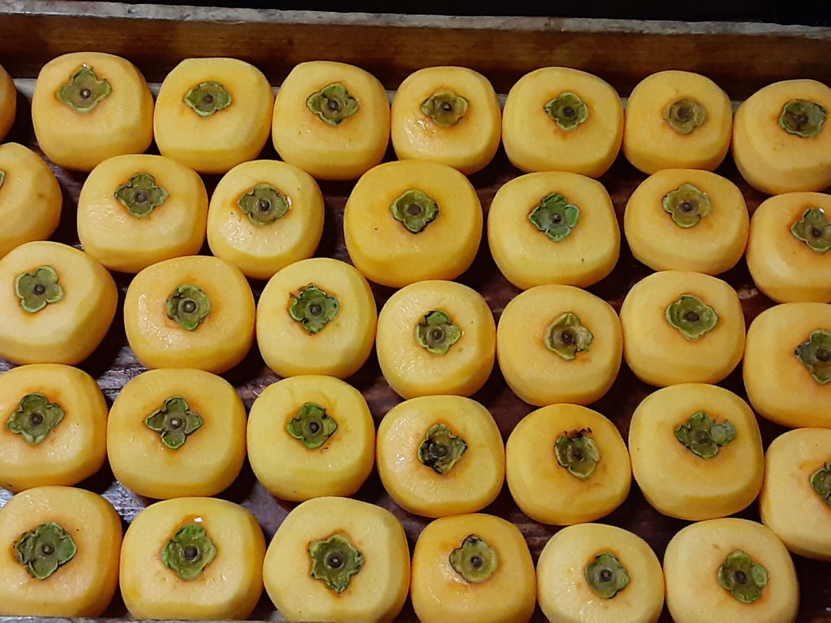 おけさ柿って？ | むぎとお米と柿農家 伝右ェ門