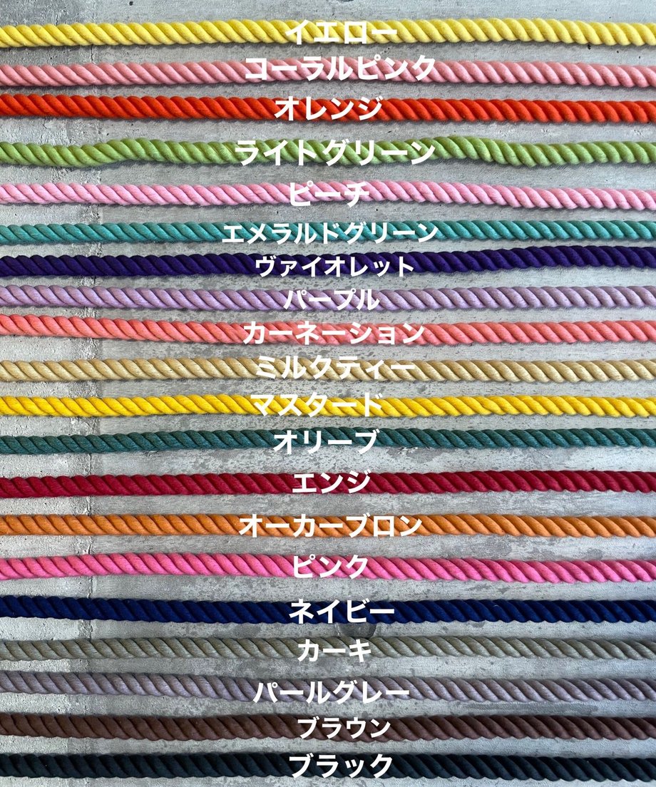 61d9bc4ae3bbd104d66f7bef