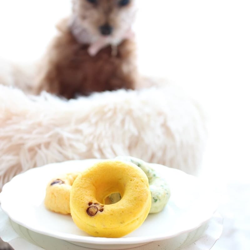 アニマルドーナツ♡(大) かわいくておいしい】アニマルドーナツ(国産小麦100%使用) 6個入り[ANM