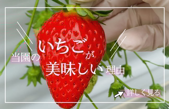 いちごページ A3ポスター いちご: タイトルポップ｜販促物・販促通販の【POP GALLERY