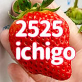 2525ichigo