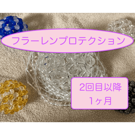 フラーレンプロテクション | STORES