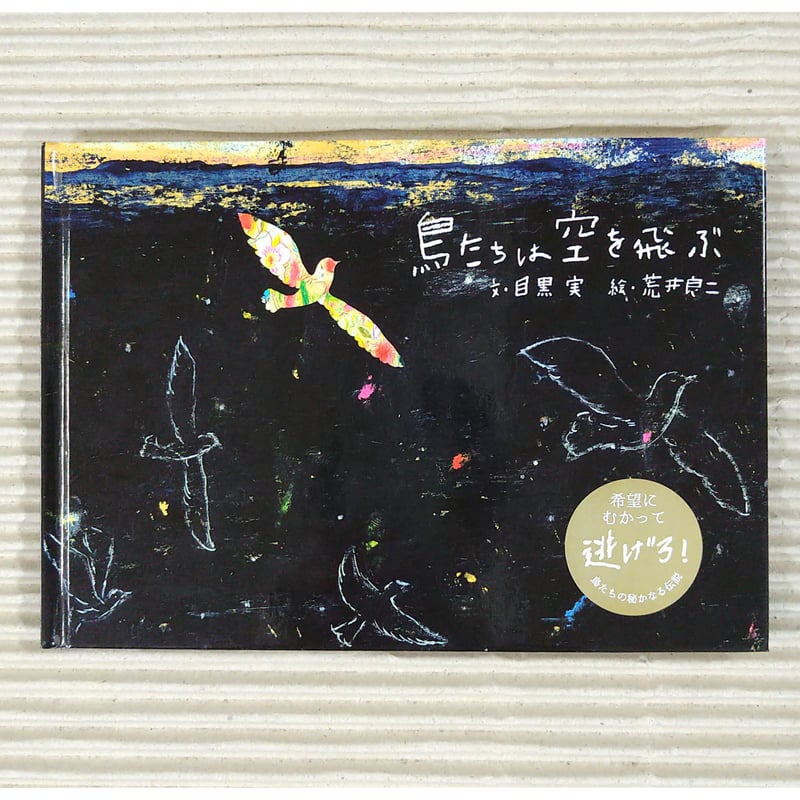 鳥たちは空を飛ぶ | 絵本日和の本棚