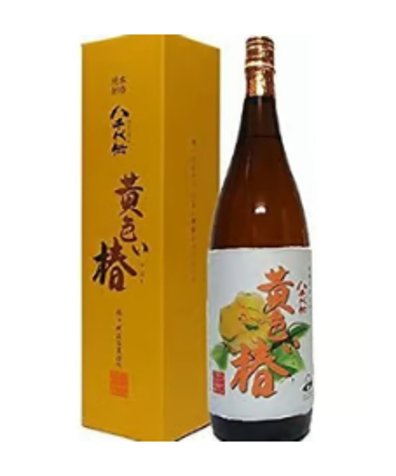 黄色い椿 2025年分 （八千代伝酒造株式会社） | 芋焼酎派 平川酒店