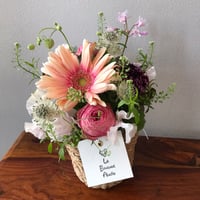 arrangement  Spring M