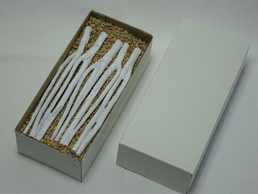【3箱セット】風炉用　枝炭　2箱　炉用　枝炭　1箱 3箱セット】風炉用 枝炭 2箱 炉用 枝炭 1箱低 価格 通販