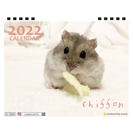【予約販売】 ハムスターのChiffon 2022年 卓上 カレンダー TC22115