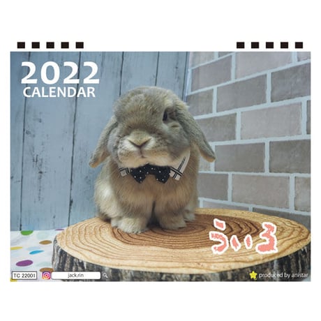 【予約販売】 うさぎのうぃる 2022年 卓上 カレンダー TC22093