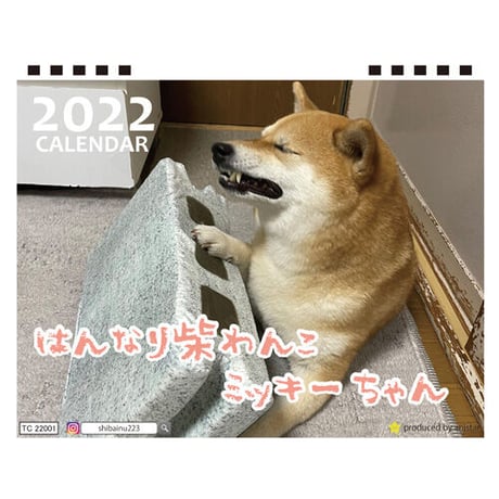 【予約販売】 柴犬のはんなり柴わんこミッキーちゃん 2022年 卓上 カレンダー TC22120