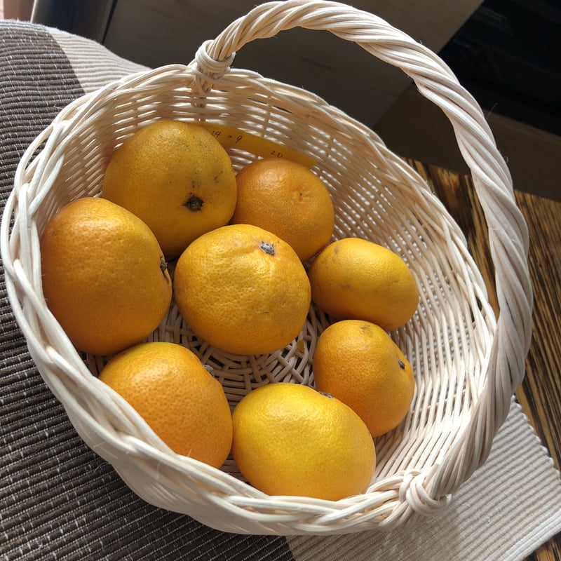 フルーツバスケット(みかんかご)《無着色》 | marron et noir