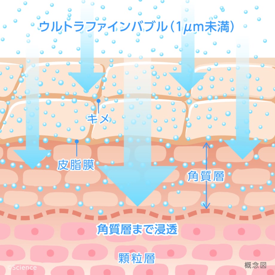 67b42f59c6aee702995bee9f