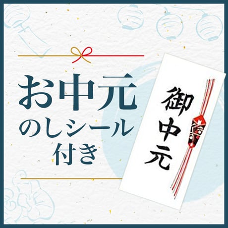 【お中元】小川らーめんセット【6食】＜袋麺(6食)+バラ叉焼約250g+海苔10枚＞
