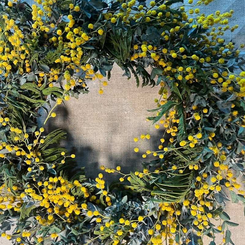 ドライフラワー ミモザのリース | Qreal