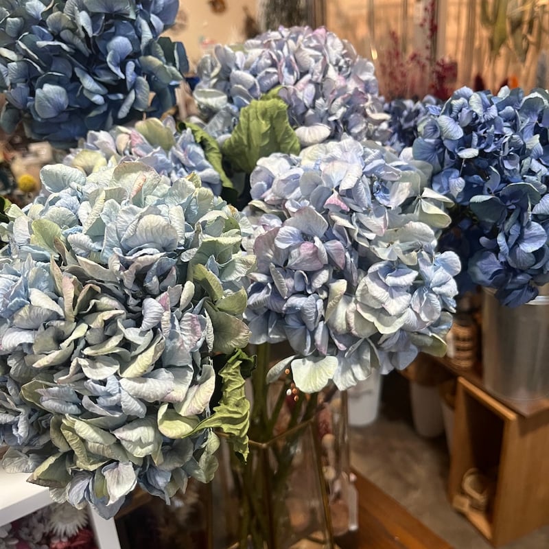 ドライフラワー】アンティークアジサイ レテーナ | Qreal