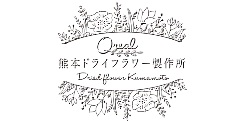 片品村紫陽花農家さんのアナベルフラワーボール(ダブルタイプ)♡ドライ 
