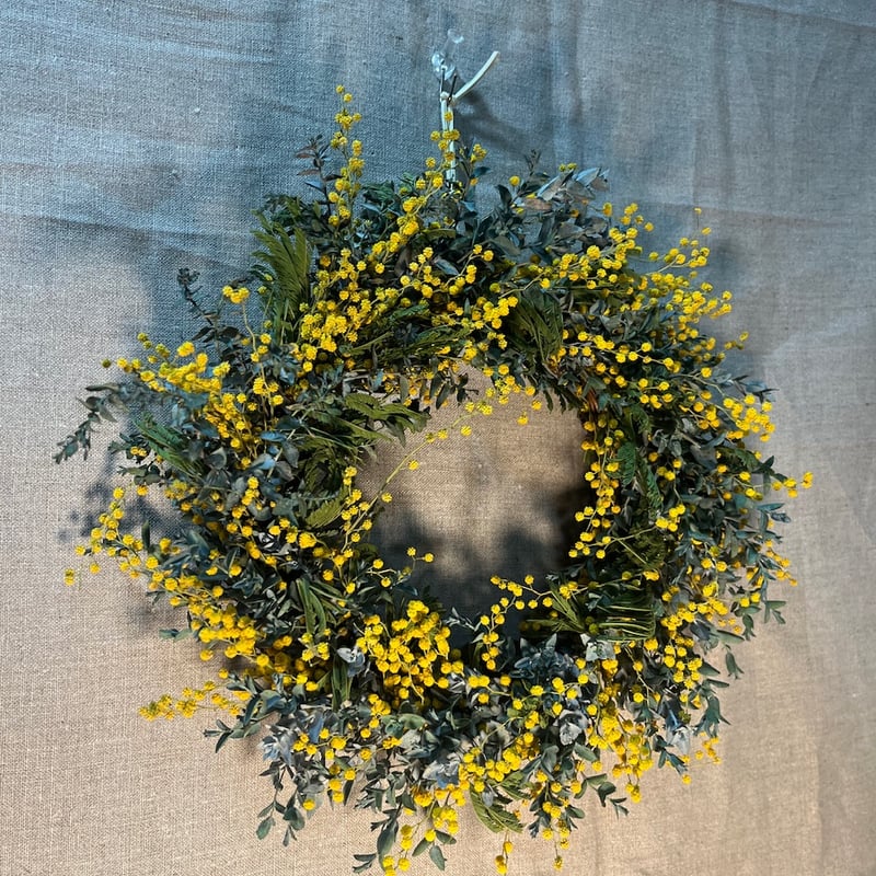 ミモザリース【終了】ドライフラワー ドライフラワー ミモザのリース | Qreal