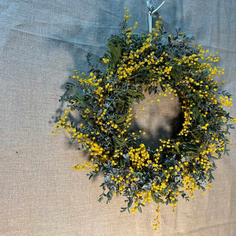 ドライフラワー ミモザのリース | Qreal