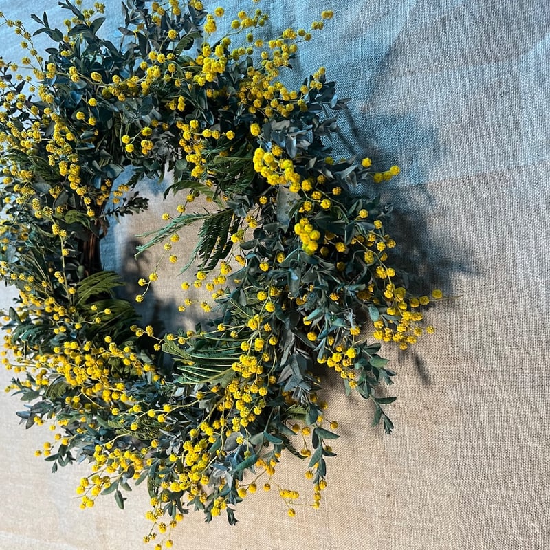 ドライフラワー ミモザのリース | Qreal