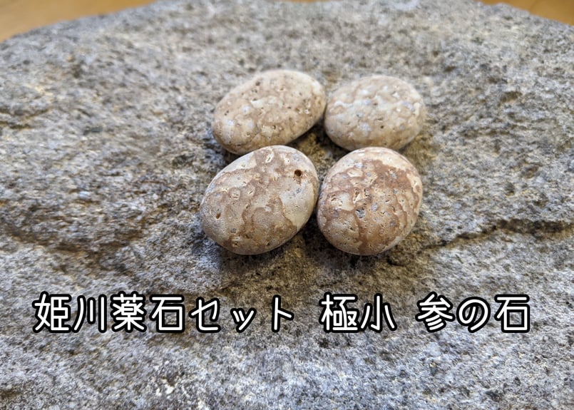 姫川薬石セット 極小（石のみ） | 音葉＊石の葉 SHOP