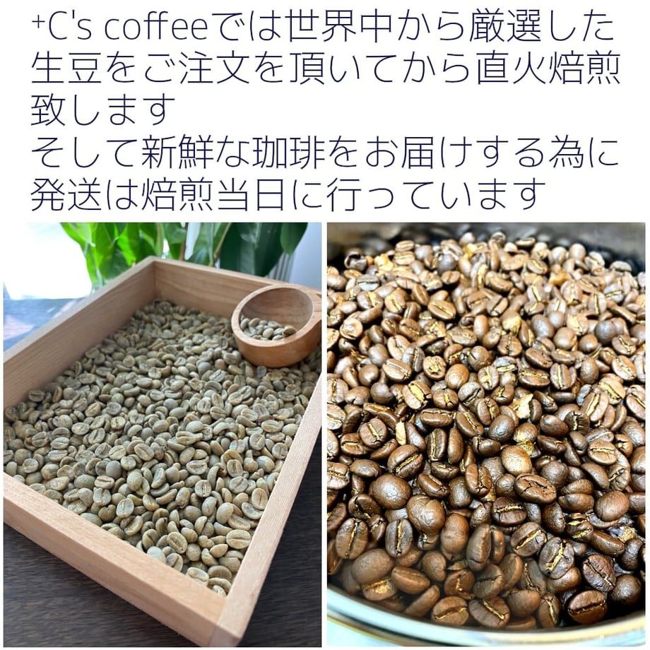 63f2b77397c24556cb302d88