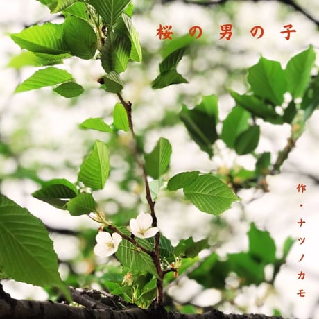 【音源】桜の男の子
