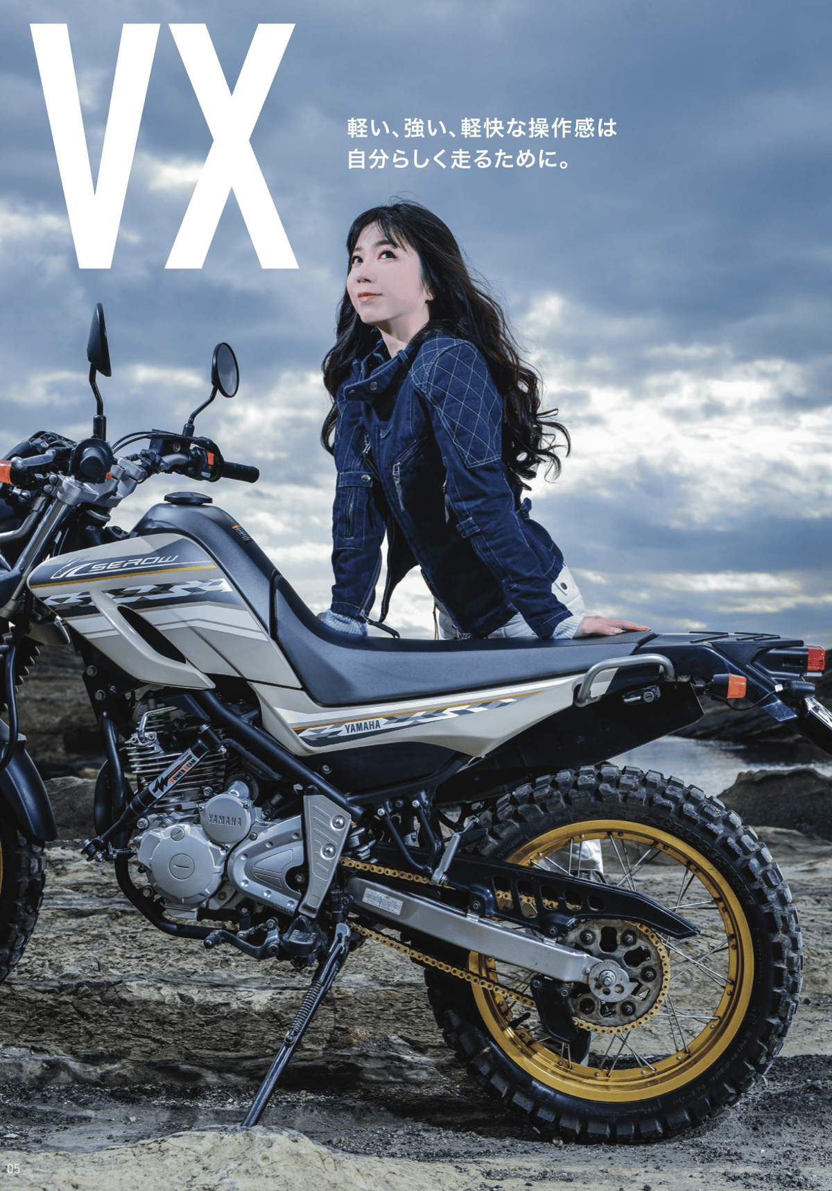 D.I.D(大同工業 ) VXシリーズ チェーン 530VX3 スチール (カシメ