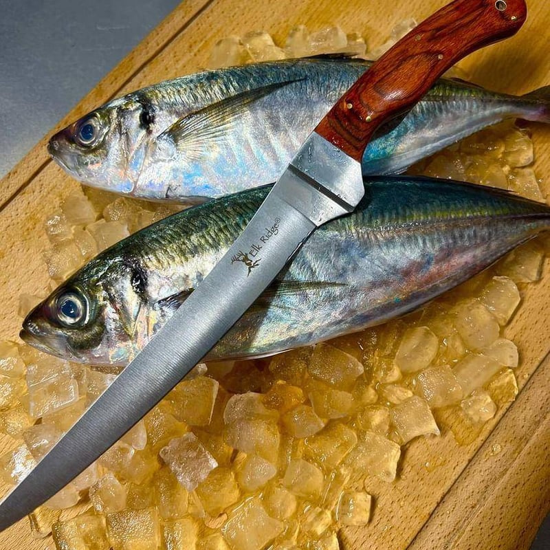 Fillet Knife ／ Elk Ridge | ZASSENHAUS & TAC✪FORCE