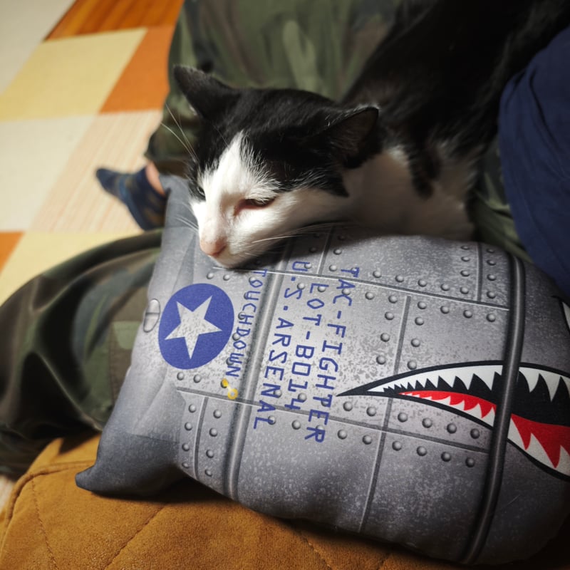 Shark Bomb Nap / Girl Bomb Nap | ZASSENHAUS & T