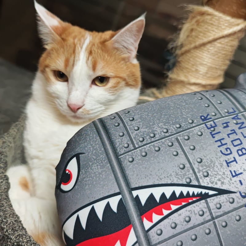 Shark Bomb Nap / Girl Bomb Nap | ZASSENHAUS & T