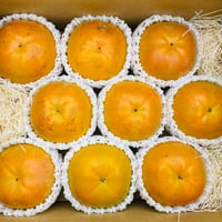 【贈答用】サクサク食感の【太秋柿】2Lサイズ