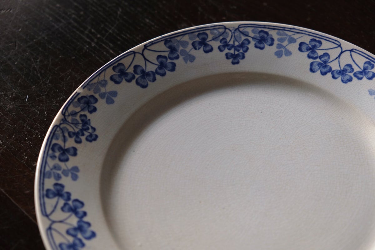 U&C SARREGUEMINES サルグミンヌ VICHY 平皿 リム皿 ディナー皿 φ23
