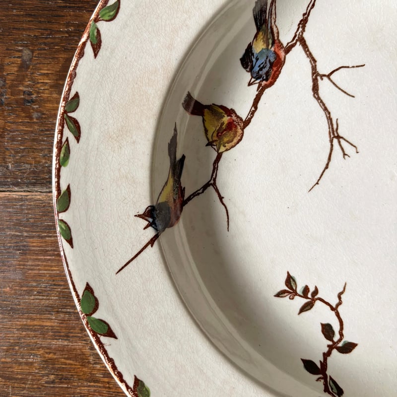 HB&Cie ショワジールロワ Oxford オックスフォード 深皿 手彩色 φ24