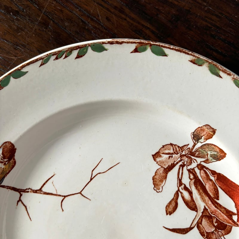 HB&Cie ショワジールロワ Oxford オックスフォード 平皿