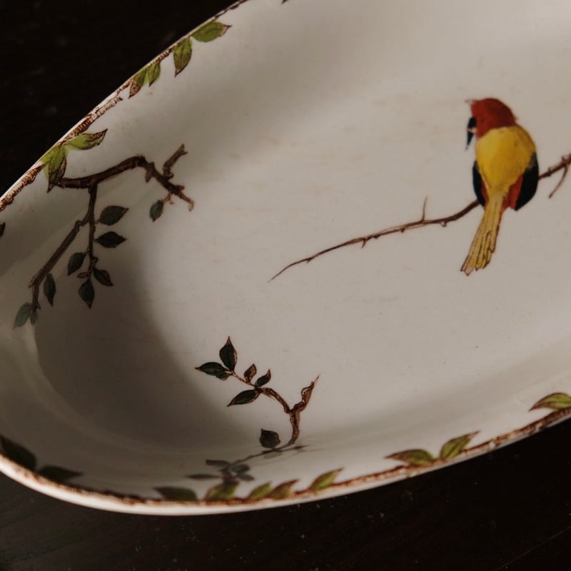 HB&Cie ショワジールロワ ラヴィエ 手彩色 鳥 Oxford フランス