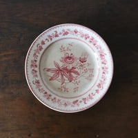 ショワジールロワ Choisy le roi 平皿 リム皿 φ20.8cm なそなぞ