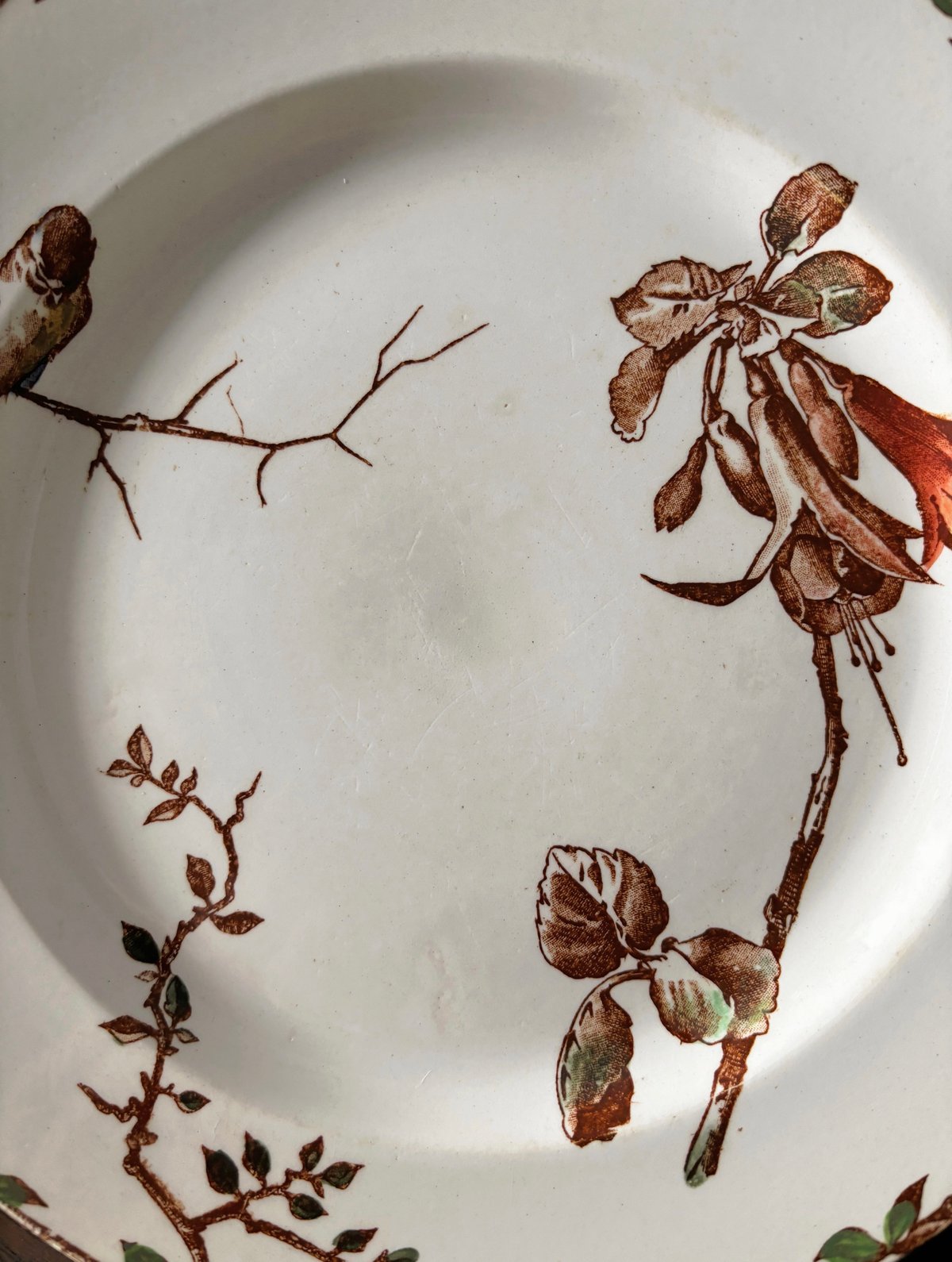 HB&Cie ショワジールロワ Oxford オックスフォード 平皿 ディナー