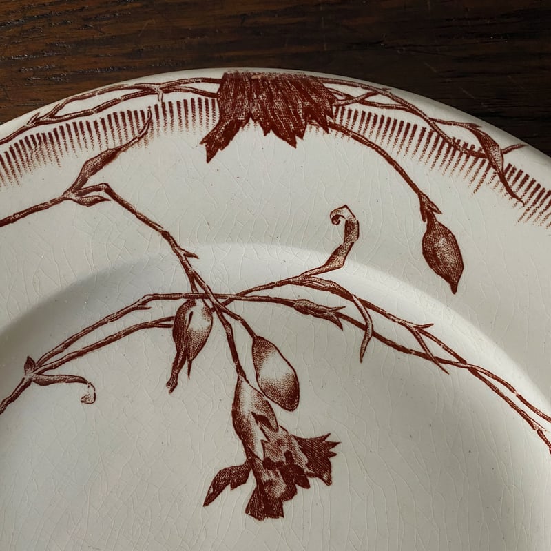 Jules Vieillard & Cie Bordeaux JVボルドー 平皿 22.5cm