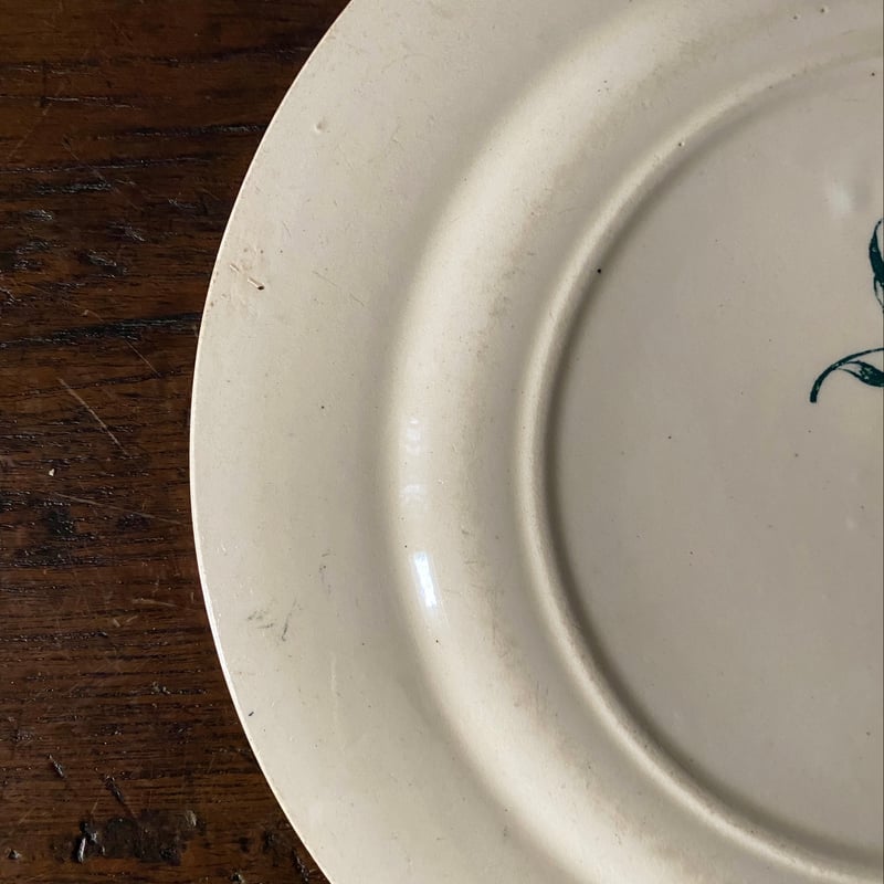 サラン Salins Herbier エルビエ 押し花柄 デザート 皿 φ21.5cm フラン