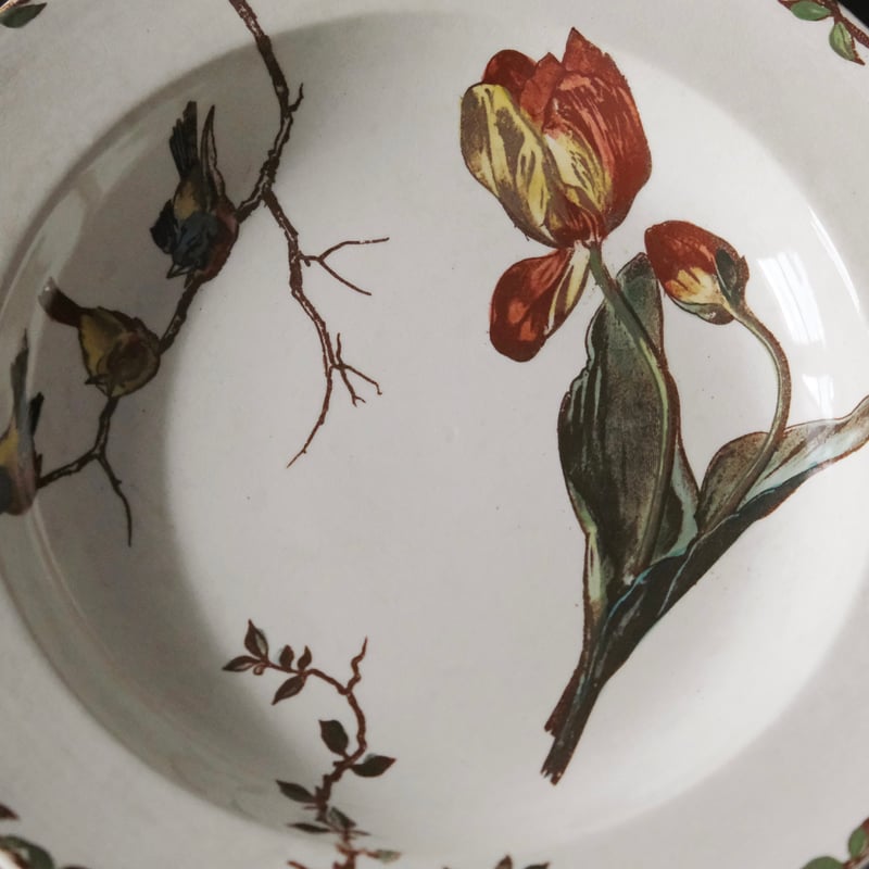 HB&Cie ショワジールロワ Oxford オックスフォード 深皿 手彩色 φ24