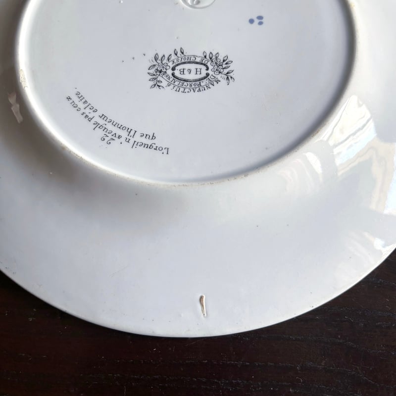 Choisy le roi 彩色 グリザイユ なぞなぞ ディナー皿 φ23.5cm