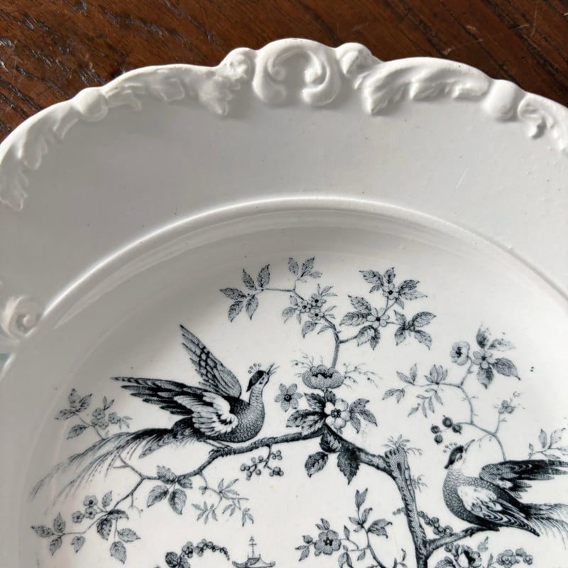 David Johnston ボルドー 花鳥柄 グリザイユ皿 レリーフ 平皿