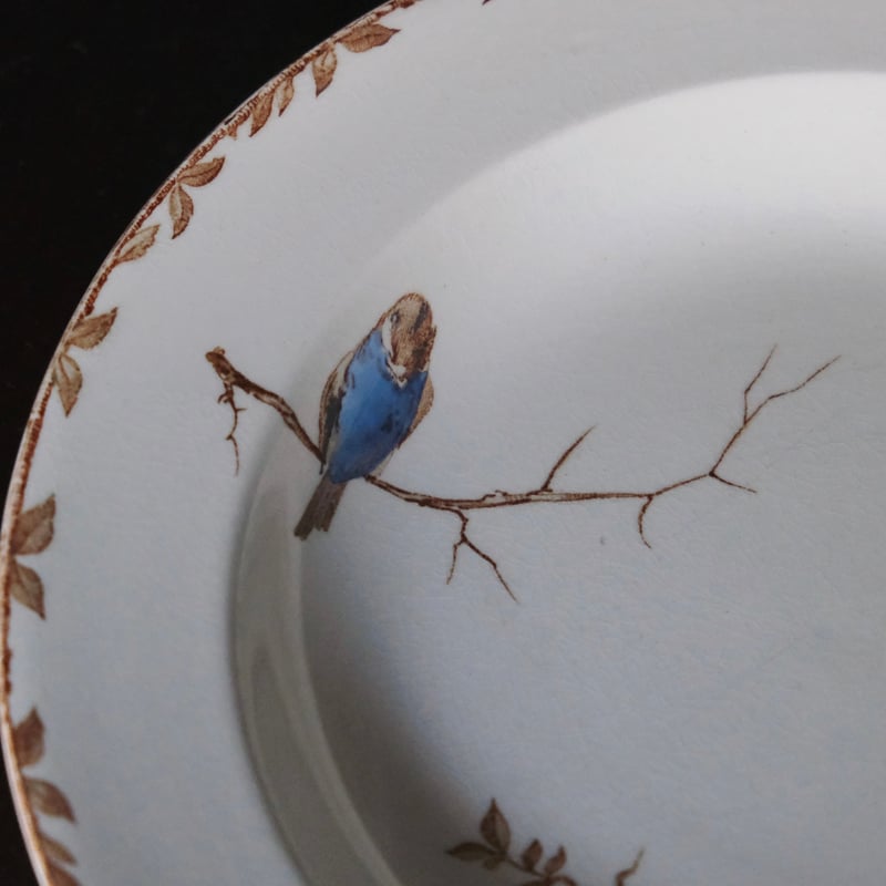 大人気！　ショワジールロワ　ポンパドール　深皿 Choisy le Roi【POMPADOUR】ポンパドール・サービス32cm/ショワジールロワ