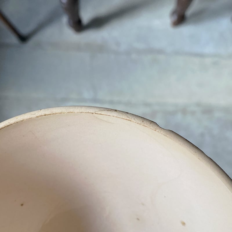 ディゴワンサルグミンヌ カフェオレ ボウル φ14.2cm フランス