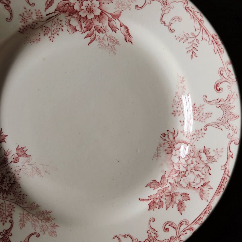 最新入荷 roi le Choisy ショワジールロワ φ22cm 平皿 フロレアル 食器