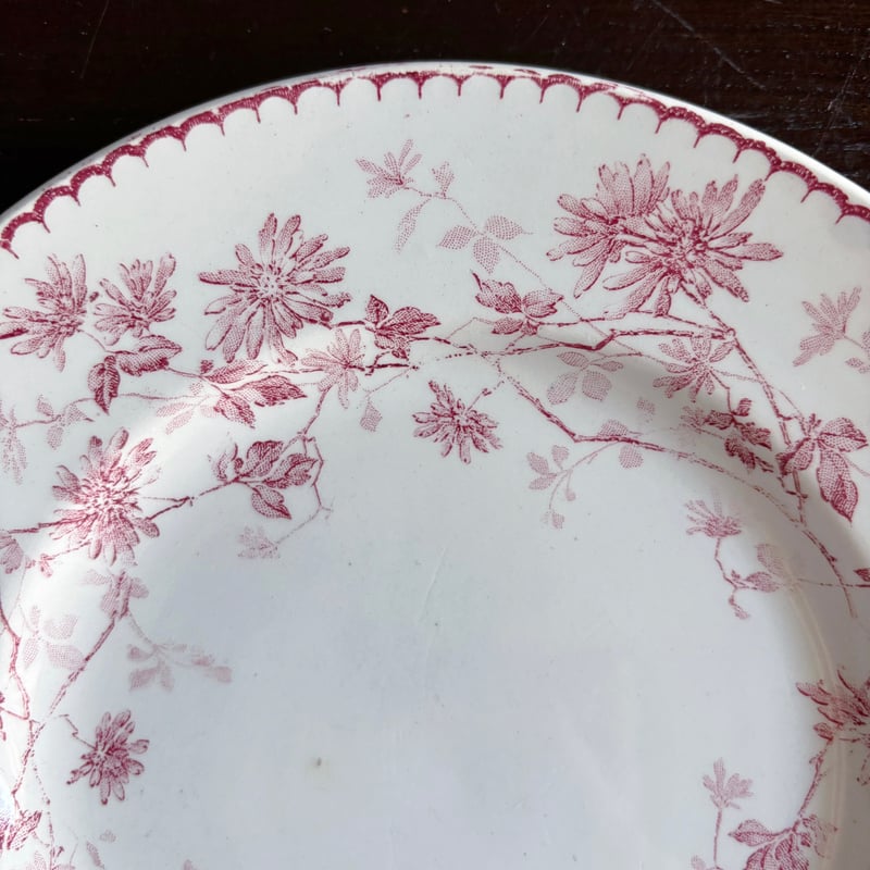 Creil & Montereau ミニャルディーズ 平皿 デザート皿 φ20.5cm クレイ