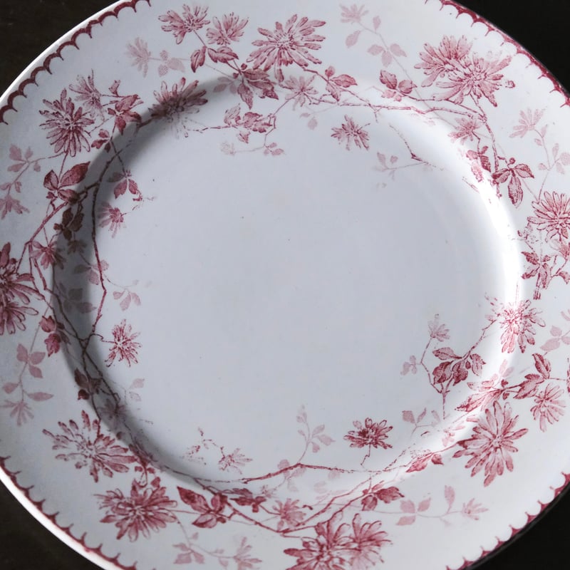 Creil & Montereau ミニャルディーズ 平皿 デザート皿 φ20.8cm クレイ